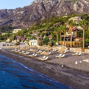 Teras 1, Florya